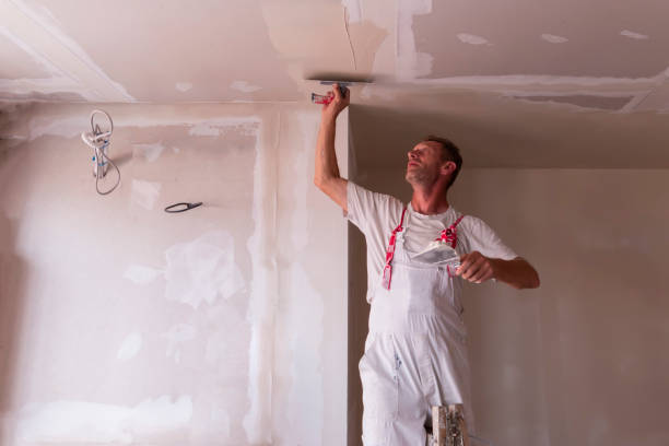 Professional Dry wall and painting in Rose Hill, VA